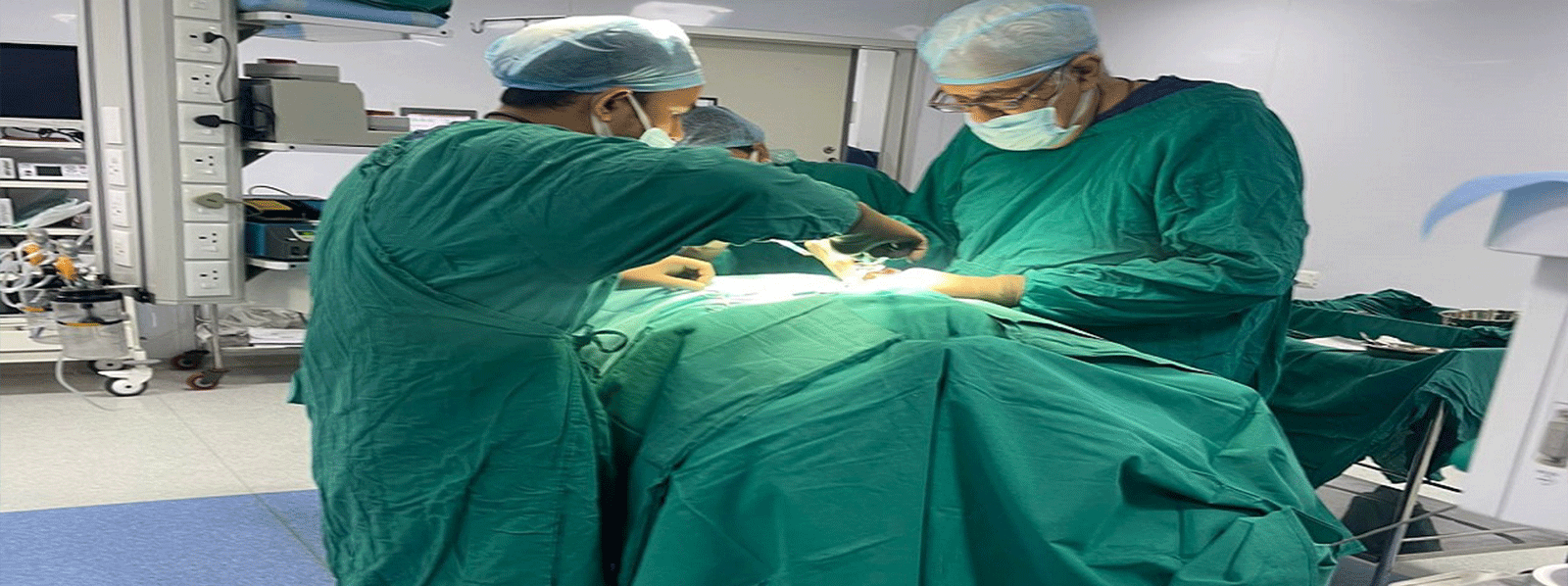 Woman Reading a Book