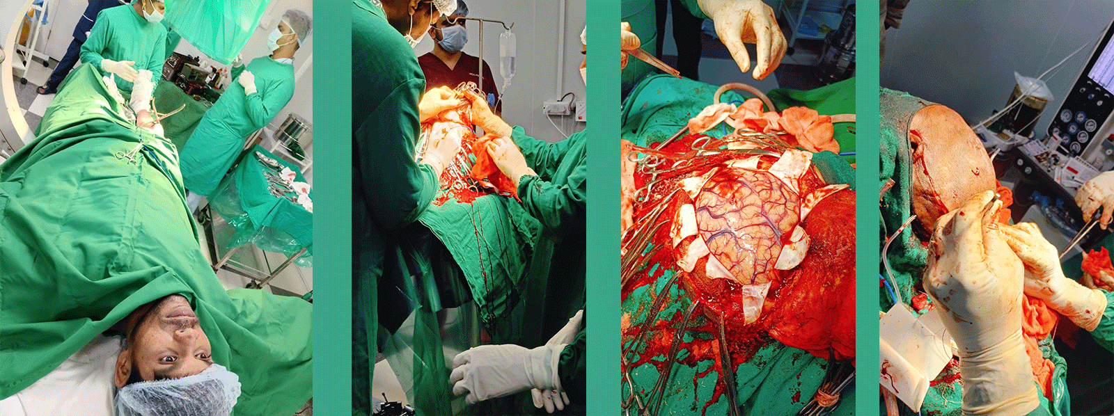 Woman Reading a Book