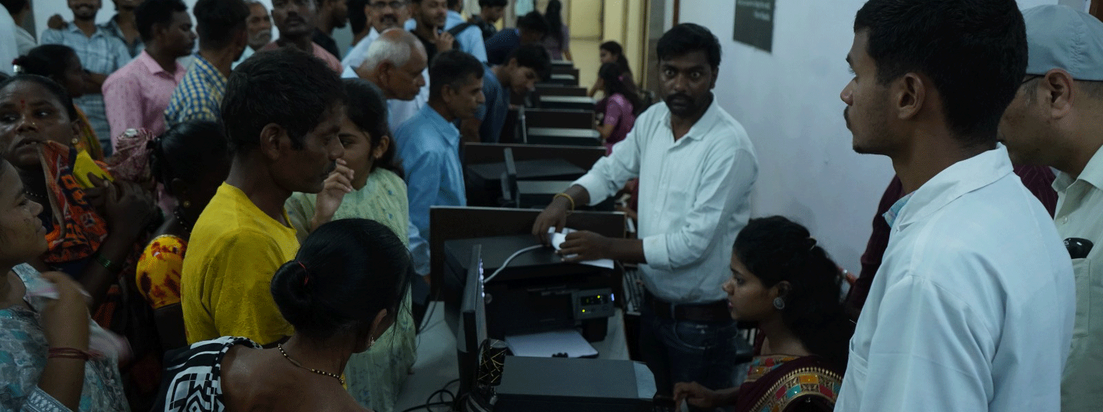 Woman Reading a Book